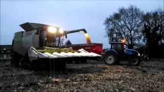 Maïs Grain 2016 - 2 Moissonneuse Claas - Bretagne
