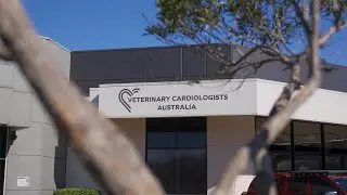 INNOVA GROUP | Veterinary Cardiologists Australia &ndash; Specialist Healthcare Fit-Out