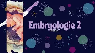 Embryologie 2 MedAT 2026 - MedKill