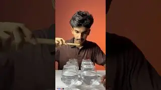 Kanimaa Song🍷Retro - Cup Music