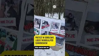 PROTEST W SOBOLEWIE. LUDZIE SKANDUJĄ POD SCHRONISKIEM