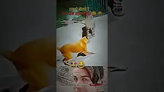 #rellsindia #trendingreels #rellsyoutube