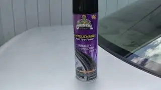 Cristal Products untouchable wet tire finish review (Walmart Item)