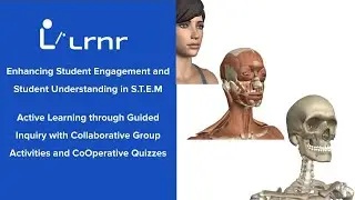 Active Learning through Guided Inquiry with Collaborative Group Activities and Cooperative Quizzes