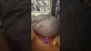 Watch us get this 6ft bean bag in my daughter&rsquo;s room 🤣 #funny #comedy 