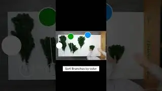 Hook on Christmas Tree Setup