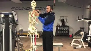 The truth about aches and pains - Regional Interdependence Overview