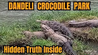 Dandeli Crocodile Park 🐊 | Real Crocodile Moments, River Pollution Truth & Manager Interview