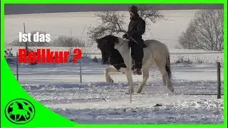 Warum k&ouml;nnen Jungpferde nicht richtig vorw&auml;rts - abw&auml;rts gehen ?