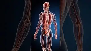 What happens while you drink inside human body? #HealthAwareness #NaturalHealing #BodySignals
