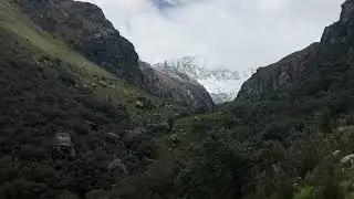 Polylepis Glacial Valleys and Wildlife in the Andes