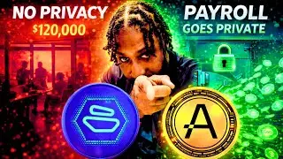 Почему крупные инвесторы игнорируют ценовые графики сделки Zebec с Aleo