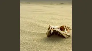 Revolution in the Desert