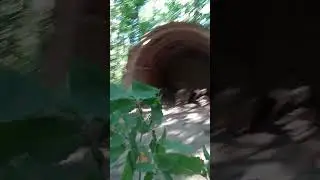 Tunnel en bois 7eme parti et fin