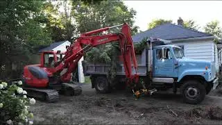 Removing Cedar Hedge Under Power Line With engcon Tiltrotator