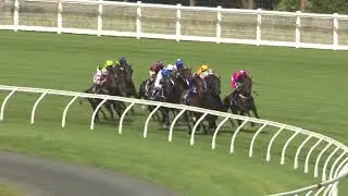 POSITIVITY - Sunline Vase 2024 (3YO G3 SW F) Group 3 Ellerslie New Zealand 2 March