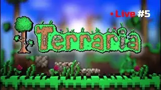 Terraria 3 Player Master Mode | Live 5
