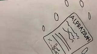Bio12