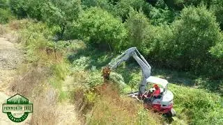 Community Tree Service | Our Work In Action | Debris Removal | Northern California