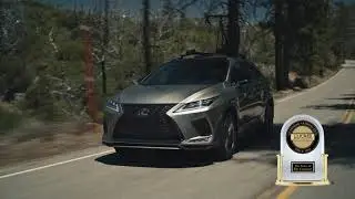 All New Lexus 2020 RX at Peterson Lexus