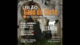 Tanabi Leilões - AO VIVO - 15/01/2025