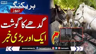 Chinese companies seek donkey meat export licenses from Pakistan | Shocking Revelations | Samaa TV