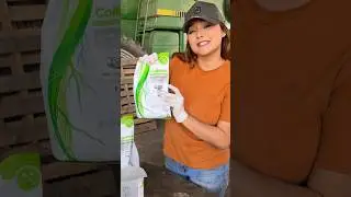 Mujer de campo !! Preparando la semilla #agricultura #rancho #agriculture #campo