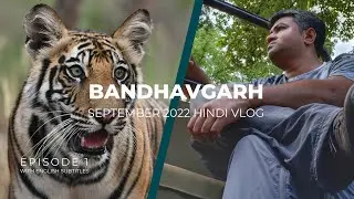 Bandhavgarh Buffer Safari in Monsoon | Dhamokar Zone Jeep Safari | Tiger Tracking Hindi Vlog