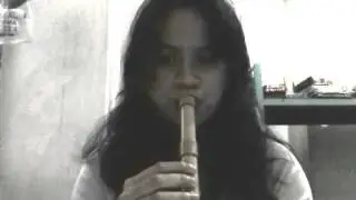 The Chauffeur Flute Solo