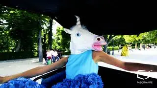 Madrid es Moda - Animales agathizados