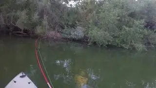Puddingstone Reservoir Bass Fishing 