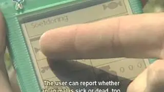 Wild Animal Trackers
