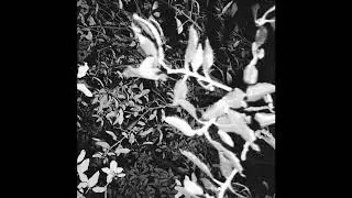 edwin rosen x nand x slow synth type beat - 