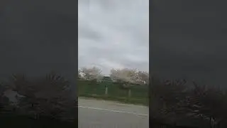 Driving in Richmond BC be like #movingtocanada #internationalstudent #spring2023 #drivingincanada