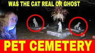 PET CEMETERY (THE CAT VANISHED)