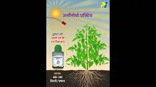 Aminogrow&trade; Activ Chilli Video- Hindi