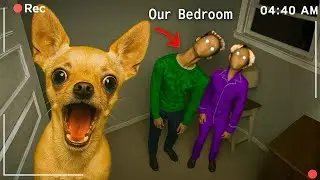 ARE MY OWNERS POSSESSED?! 😰