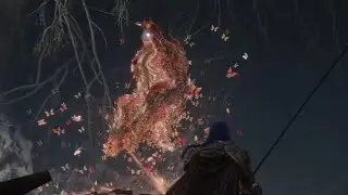 Malenia VS Unsheathe Nagakiba (No Hit) - Elden Ring