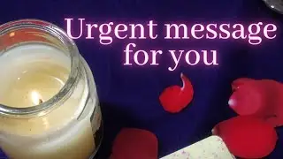 Urgent fairy message for you ✨ #angelcardreading #angels #oracle  #shorts #oraclecards #tarot