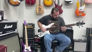Cameron's Corner - Rogue Series3 Fretless Bass
