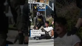 #shorts #vdoma #news #usa #chicago #immigrants #вдома #новини #сша #чикаго #українцівсша #іміграція