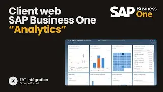 Ma&icirc;trisez l&rsquo;analyse et le reporting sur le client web SAP Business One