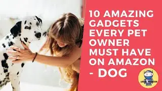 10 Amazing Gadgets Every Pet Owner Must Have On Amazon Dogs |