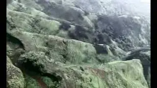 19072009004