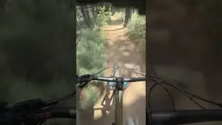 Galena Creek Trail | Reno MTB |