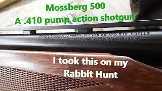 Mossberg 410 и охота на кролика