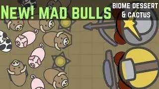 Moomoo.io - New Update! Mad Bulls, Biome Dessert Map, Cactus - moomoo.io fun gameplay