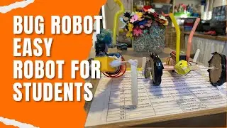 Bug Robots |Tergar School Kathmandu | STEAM education