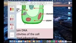 SMART HELIX