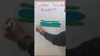 Системное сосудистое сопротивление